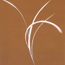 Bronze IV