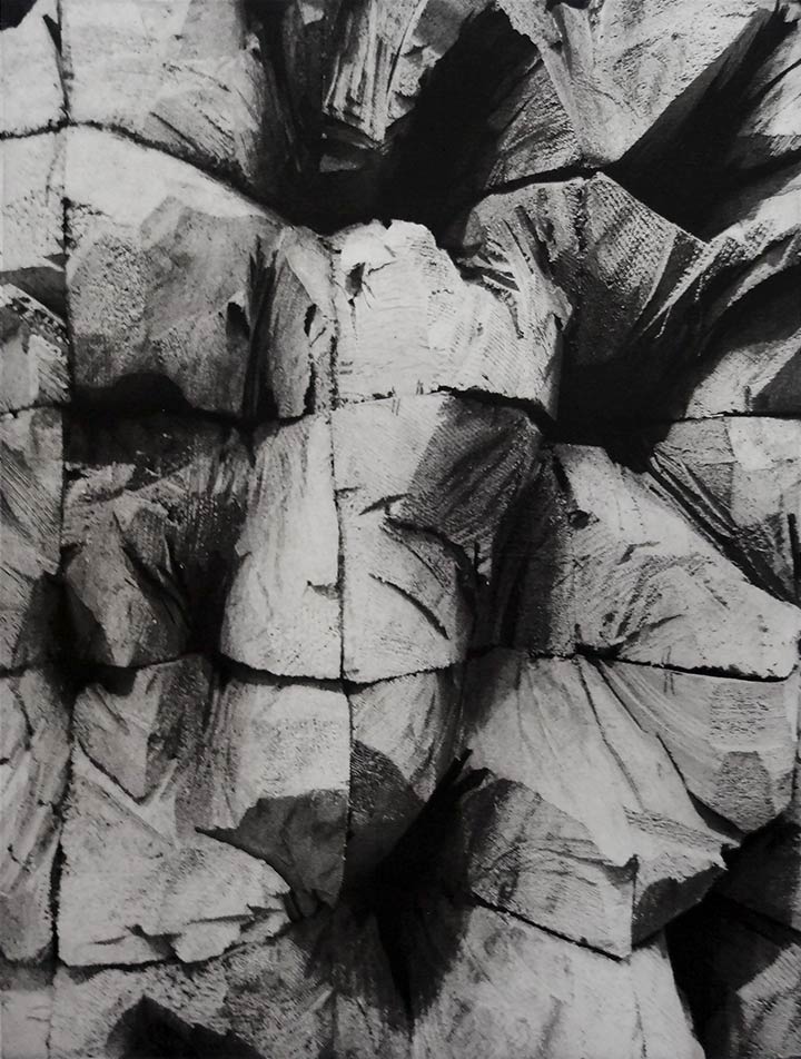Single Wood 1