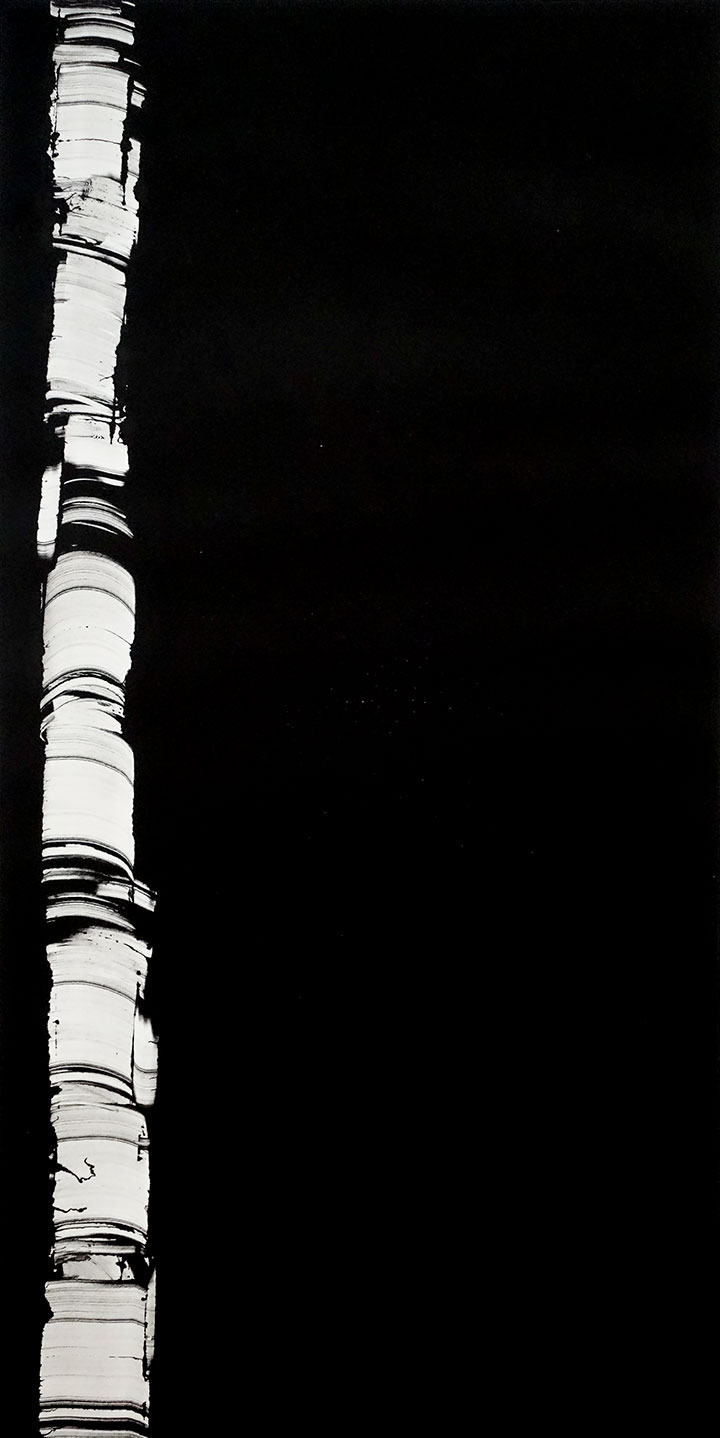 #15