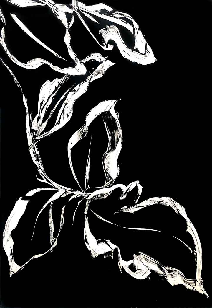 Botanical II