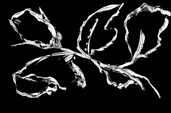 Botanical III