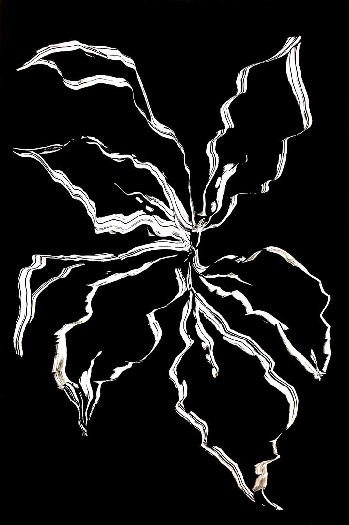 Botanical V