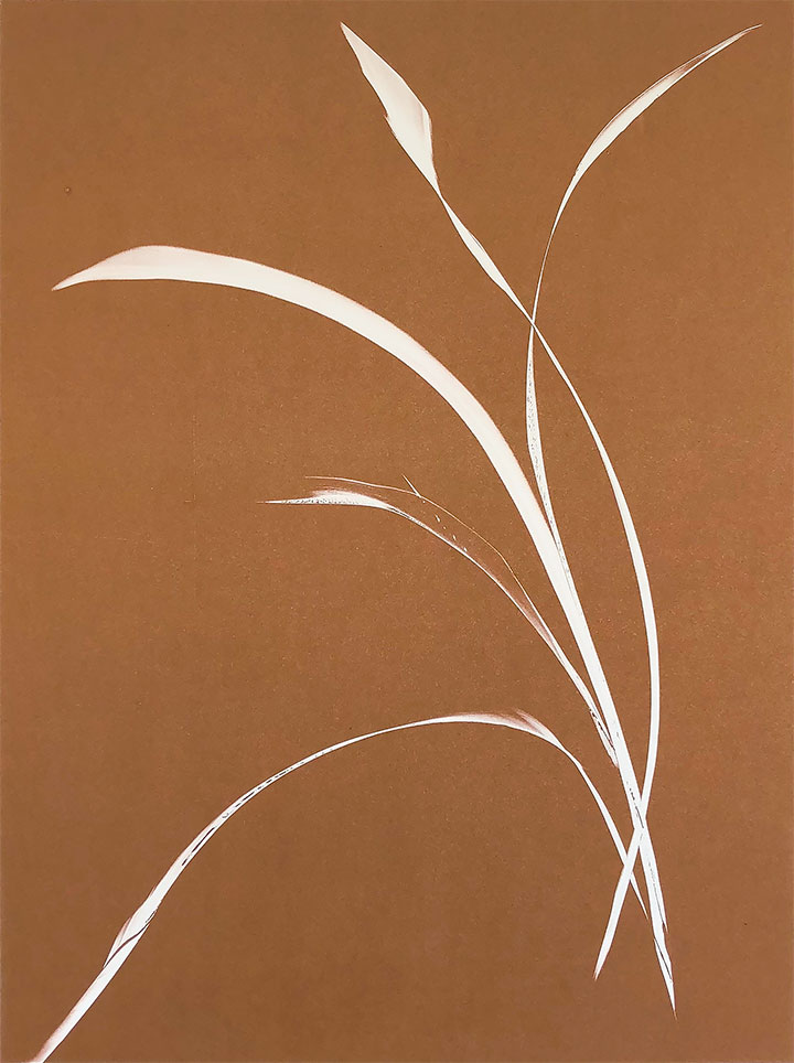 Bronze II