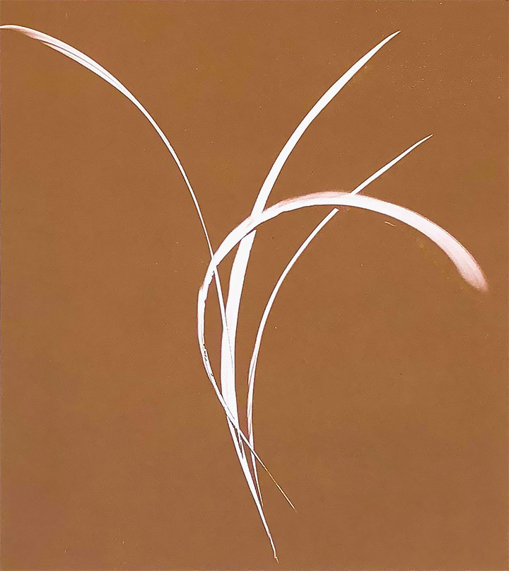 Bronze IV