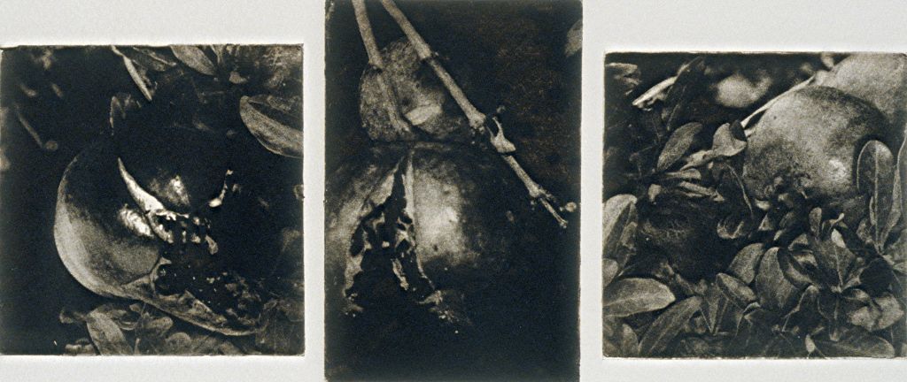Triptych