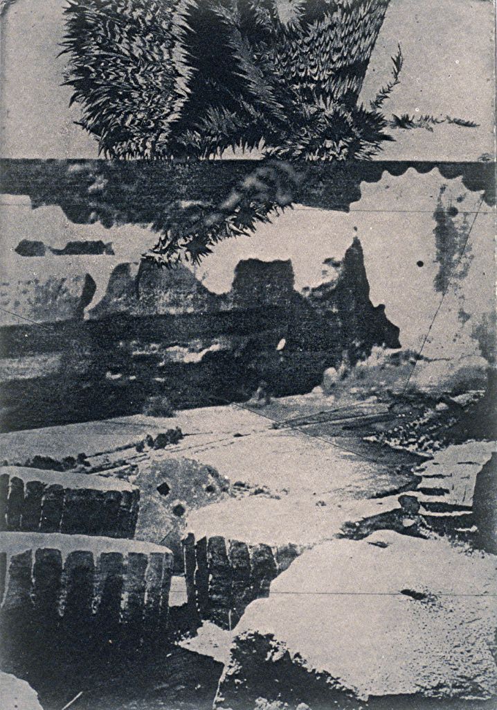 Metamor&shy;phosis II
