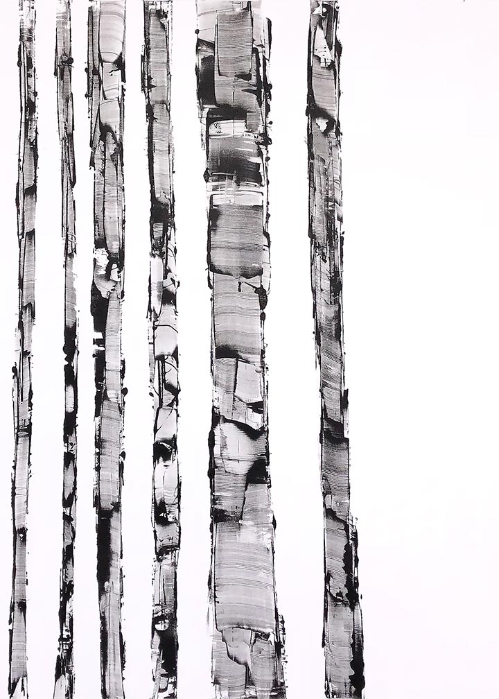 White Birch VI